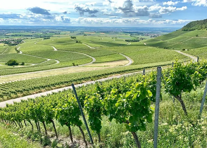 Hotell Winzerstube & Rödelsee