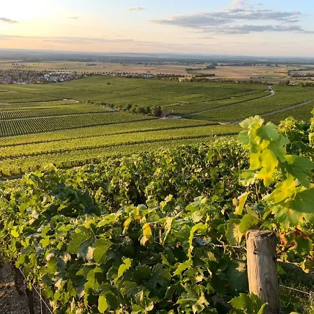 Winzerstube&hotel