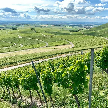 Ξενοδοχείο Winzerstube & Rödelsee