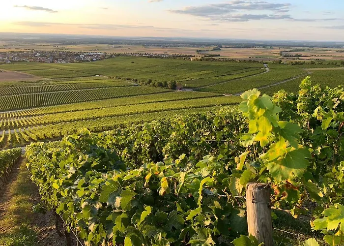 Winzerstube&hotel